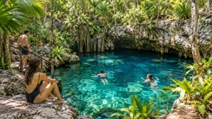 Group swimming in a cenote surrounded by jungle near Tulum